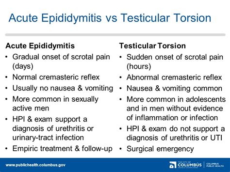 test to differentiate testicular torsion from epididymitis|epididymo orchitis guidelines.